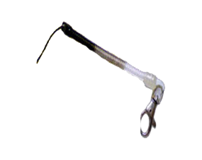 bungee-cord-products