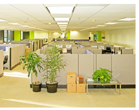 professional-offices